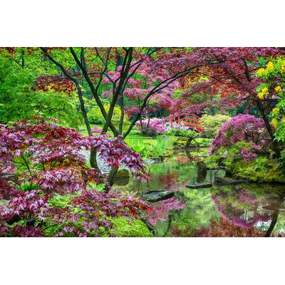 Papermoon "GARTEN-BLUMEN BÄUME PFLANZEN PARK STEINE BLÜTEN WALD"