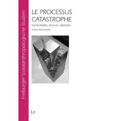 Le processus catastrophe, Taschenbuch von Andrea Boscoboinik, Lit Verlag, 978-3-8258-1754-1