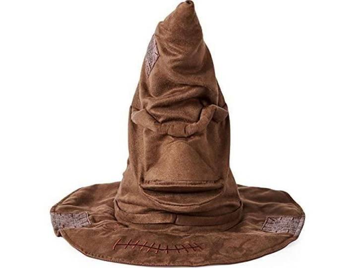 Accessoire - SpinMaster - Chapeau de tri Harry Potter - Marron - Plastique - Intérieur