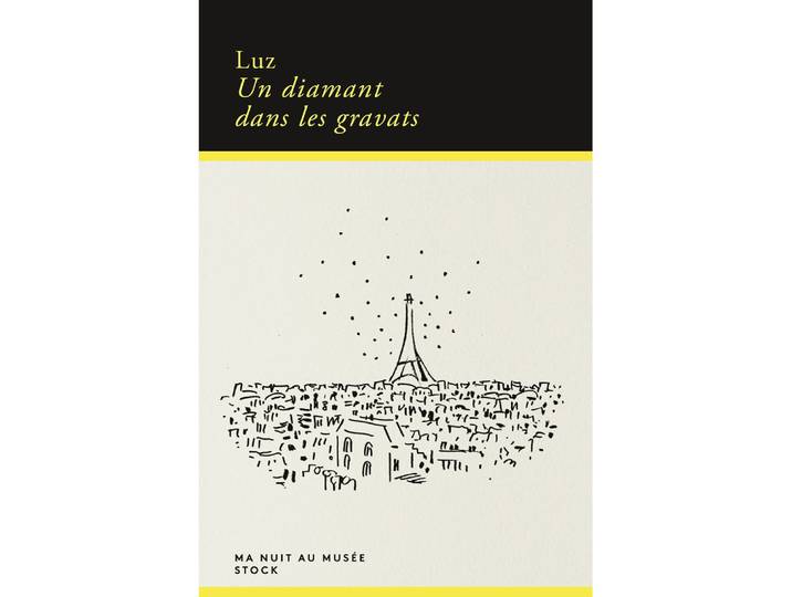 Un diamant dans les gravats (Grand format)