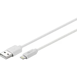 goobay Lightnin/USB-Kabel 72907 2 m