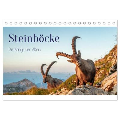 Steinböcke - Die Könige der Alpen (Tischkalender 2027 DIN A5 quer), CALVENDO Monatskalender