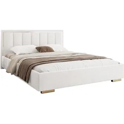 POLSTERBETT AURELIA 120x200 mit Stauraum für Bettwäsche und Rahmen Jasmine 20