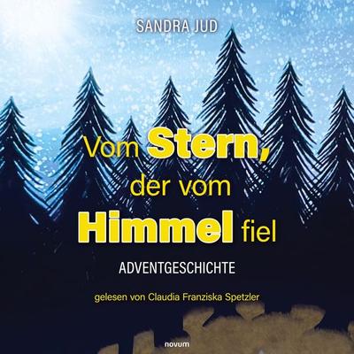 Vom Stern, der vom Himmel fiel - Hörbuch - Sandra Jud, Audio, 9783991468011