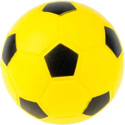 Sport-Thieme, Fussbälle