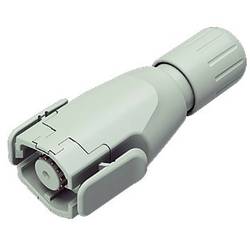 binder 99 1721 000 12 Rundsteckverbinder Stecker, gerade Gesamtpolzahl: 12 1 St.
