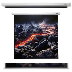 celexon Leinwand Motor Economy 220 x 220 cm - 122`