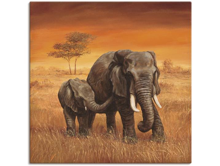 Leinwandbild ARTLAND Elefanten II , braun (farbe bild(er): braun), B:40cm H:40cm, Bilder, Leinwandbild, auf Holzrahmen gespannt