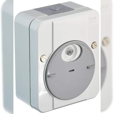 Schneider Electric Merten Argus Dämmerungsschalter lichtgrau 544829