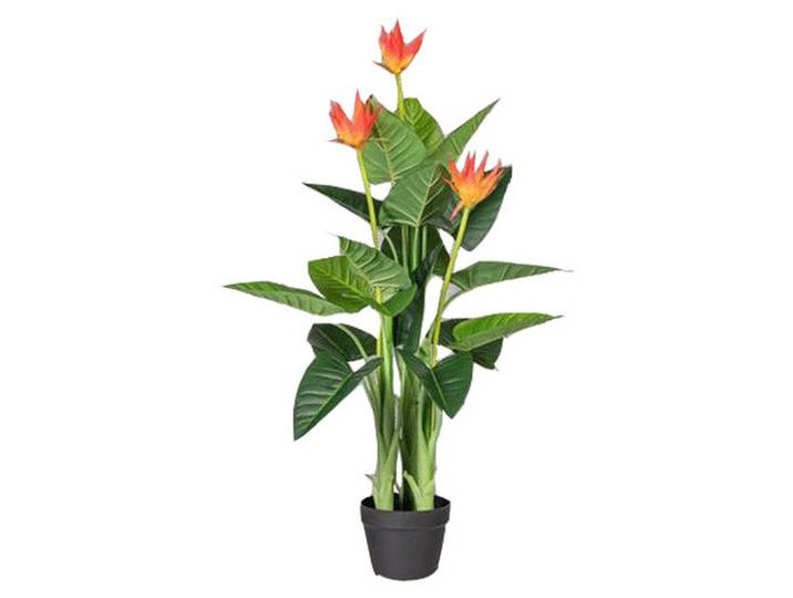 Kunstpflanze Guzmania ca. 40cm