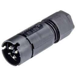 Wieland Electric 41.032.3053.1 Steckverbinder