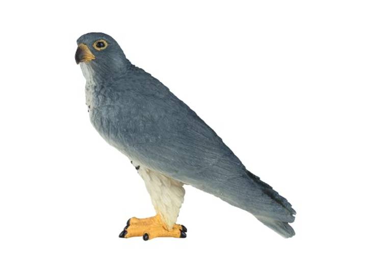 Mojo Wildlife Slechtvalk - 381056