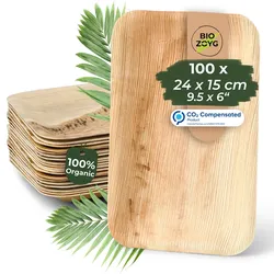 BIOZOYG 100 Stück Einweggeschirr 24x15cm, flach, Palmblatt-Teller rechteckig umweltfreundliche Einwegteller aus Palmenblättern, biologisch abbaubar