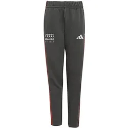ADIDAS Kinder Hose AUDI REVOLUT F1 TEAM DANN, Größe 140 in Grau Grau