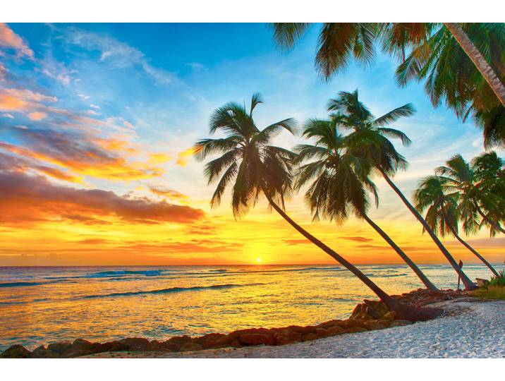 Fototapete PAPERMOON Barbados Palm Beach , bunt, B:5m L:2,8m, Vlies, Tapeten, Fototapete