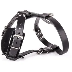 Martin Sellier Hundegeschirr aus Filzleder (25, Hund, Spazieren), Halsband + Leine