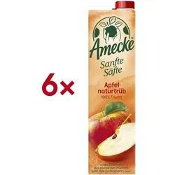 Amecke 6er-Pack Fruchtsaft »Sanfte Säfte Apfel naturtrüb« 1 Liter