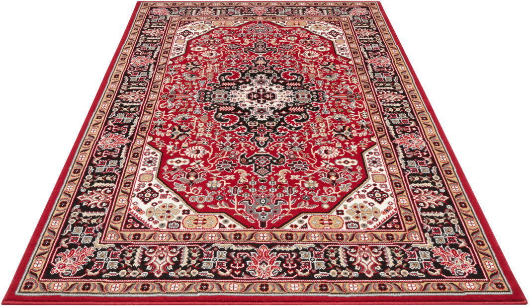 Nouristan Skazar Isfahan Tufted Red Rug Red Rectangle 160cm x 230cm