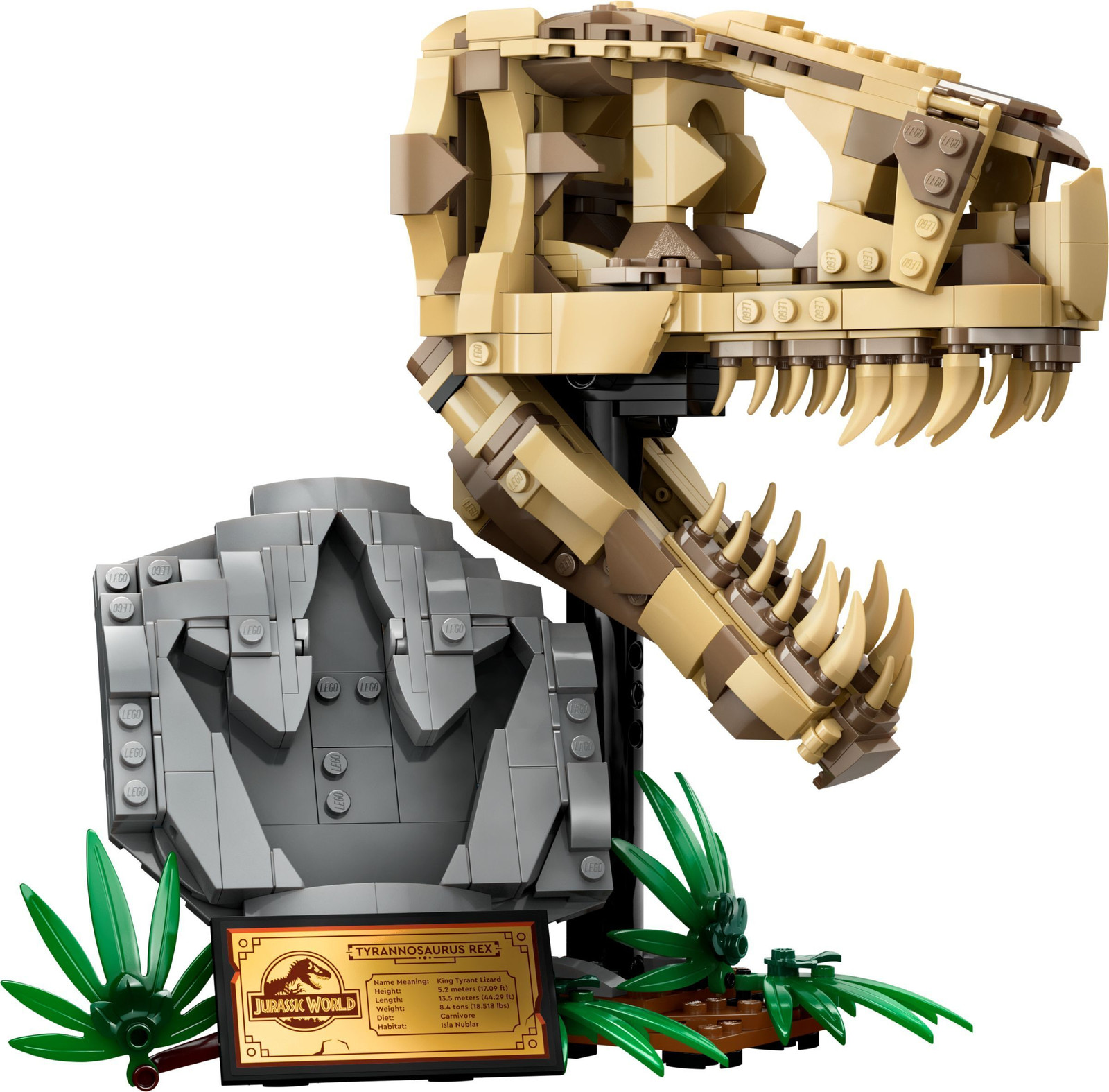 LEGO 76964 Jurassic World T-Rex schedel Dinosaurusfossiel