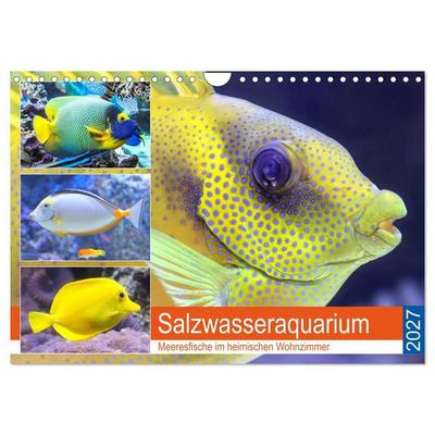 Salzwasseraquarium. Meeresfische im heimischen Wohnzimmer (Wandkalender 2027 DIN A4 quer), CALVENDO Monatskalender
