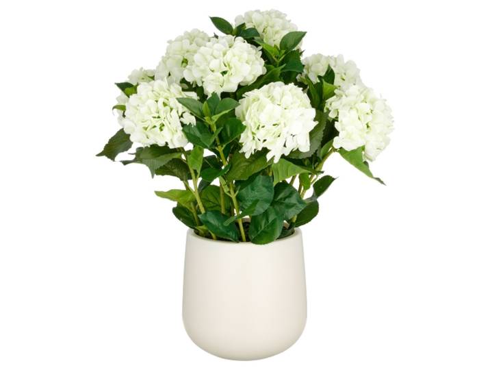 Kunstpflanzen Hortensien Creme im Kunststofftopf H: 70 cm Gasper