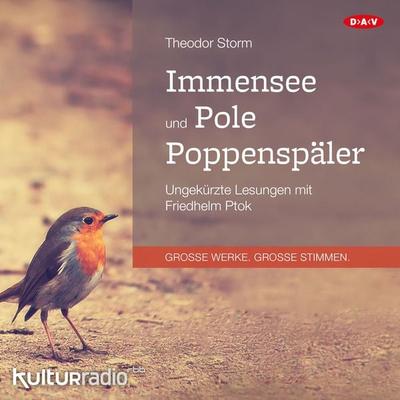 Immensee und Pole Poppenspäler - Theodor Storm, Audio, 4057664020864