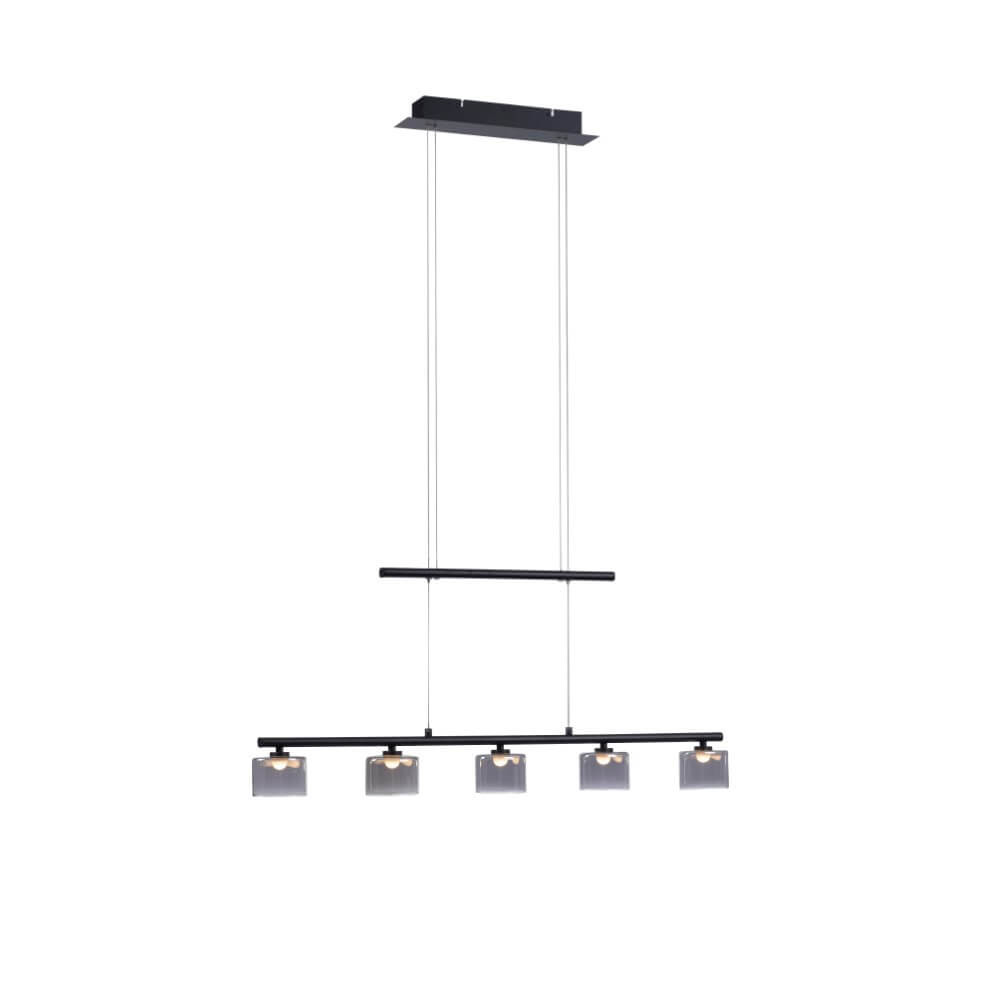 Paul Neuhaus Hydra 5-lichts hanglamp zwart