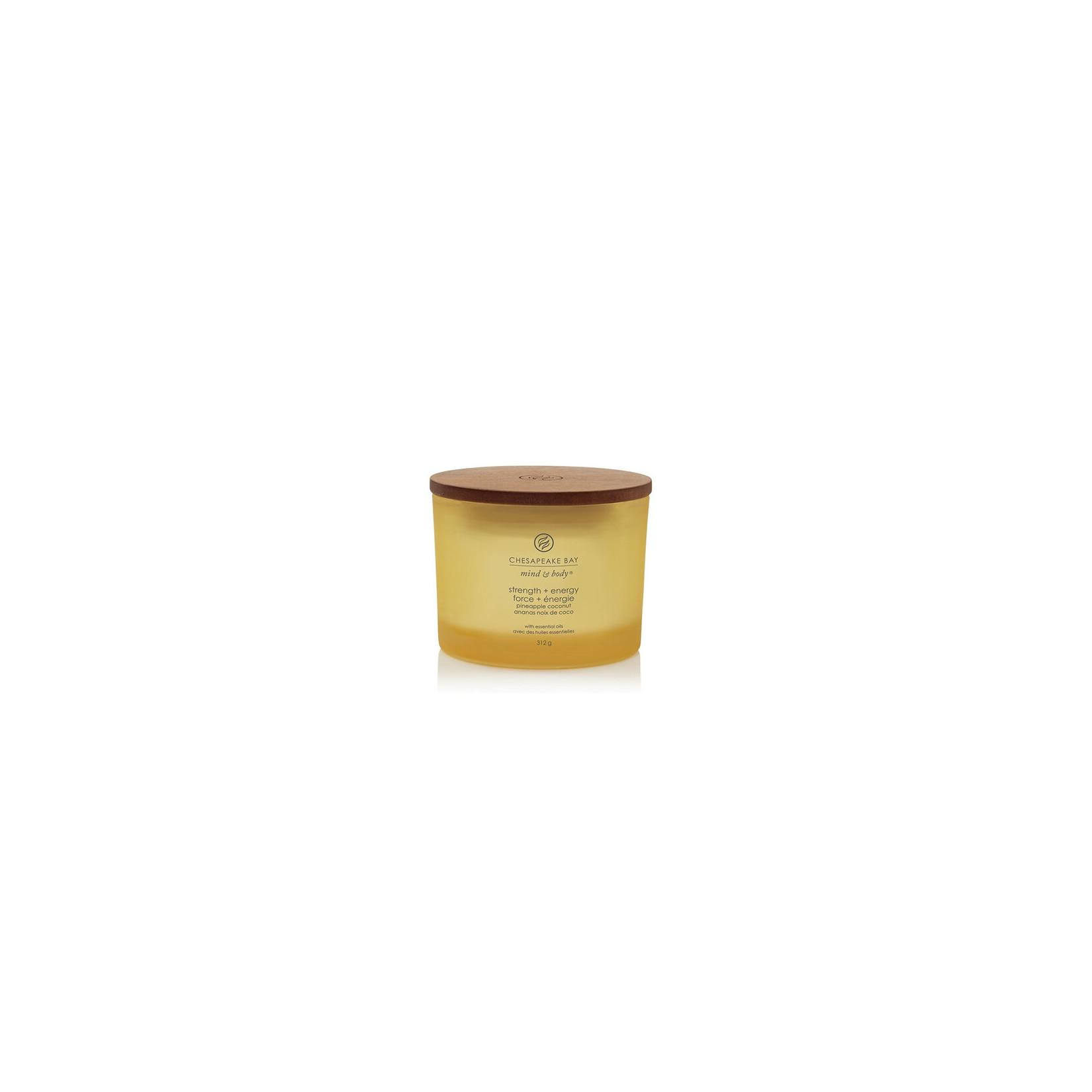 Chesapeake Bay Strength + Energy Duftkerze mit 3 Dochten 312 g