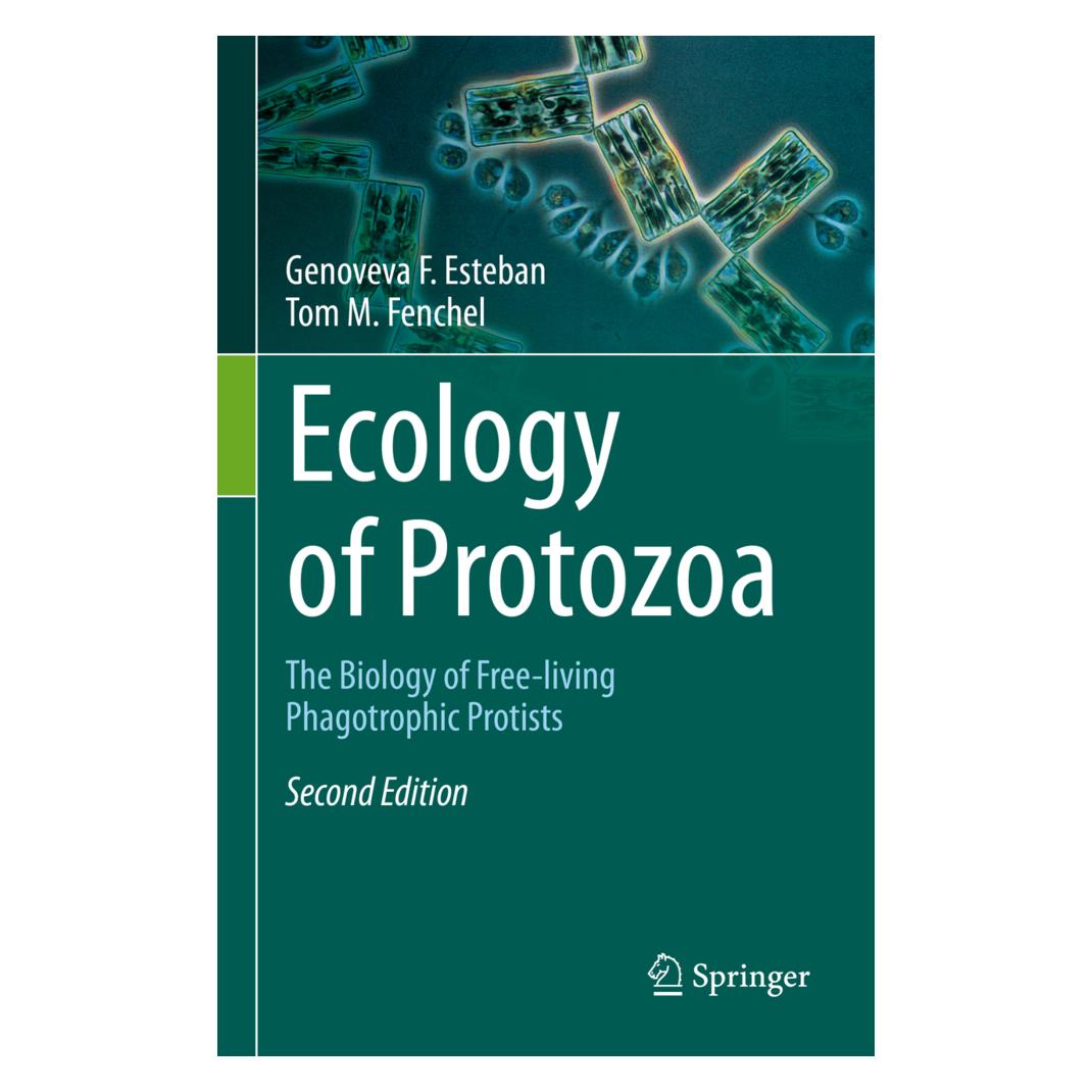 Springer Ecology of Protozoa (Englisch, Softcover, Genoveva F Esteban, Genoveva F. Esteban, Tom M Fenchel) (56225358)