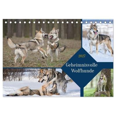 Geheimnisvolle Wolfhunde (Tischkalender 2027 DIN A5 quer), CALVENDO Monatskalender
