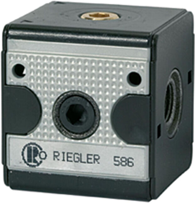 Riegler Clapet anti-retour »multifix«, BG 3, G 3/4 (V 34/1)