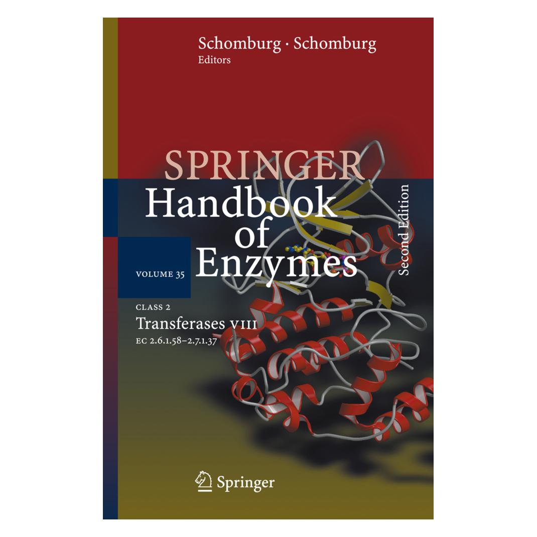 Springer Class 2 Transferases VIII (Englisch, Softcover, A, Chang, Dietmar Schomburg) (55946618)