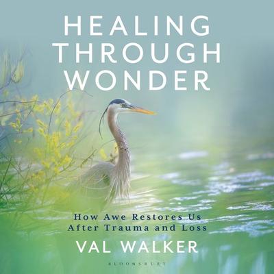 Healing Through Wonder - Val Walker, Audio, 9798216477174