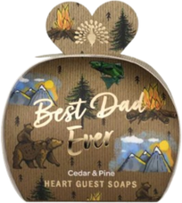 Gift Wells Pack Sabonetes Best Dad Ever Cedar & Pine 1 un