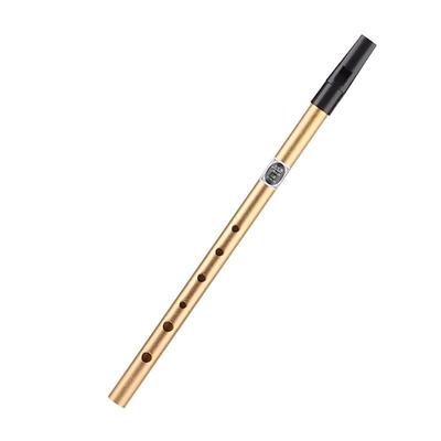 Irish Whistle Flute C/D Key Irland Flöte Tin Penny Whistle 6-Loch Flöte Musikinstrument