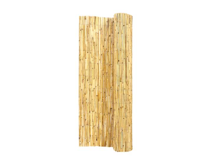 Sichtschutzmatte Schilfrohr 300 x 160 cm