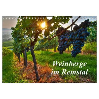 Weinberge im Remstal (Wandkalender 2027 DIN A4 quer), CALVENDO Monatskalender