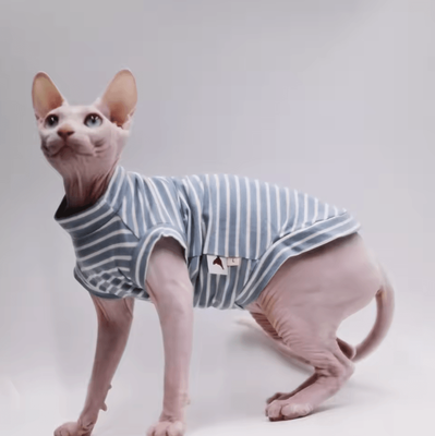 Inspire Curations DUOMASUMI Cooling Cat Vest Ultra Soft Summer Shirt For Hairless & Sensitive Cats blue xxl