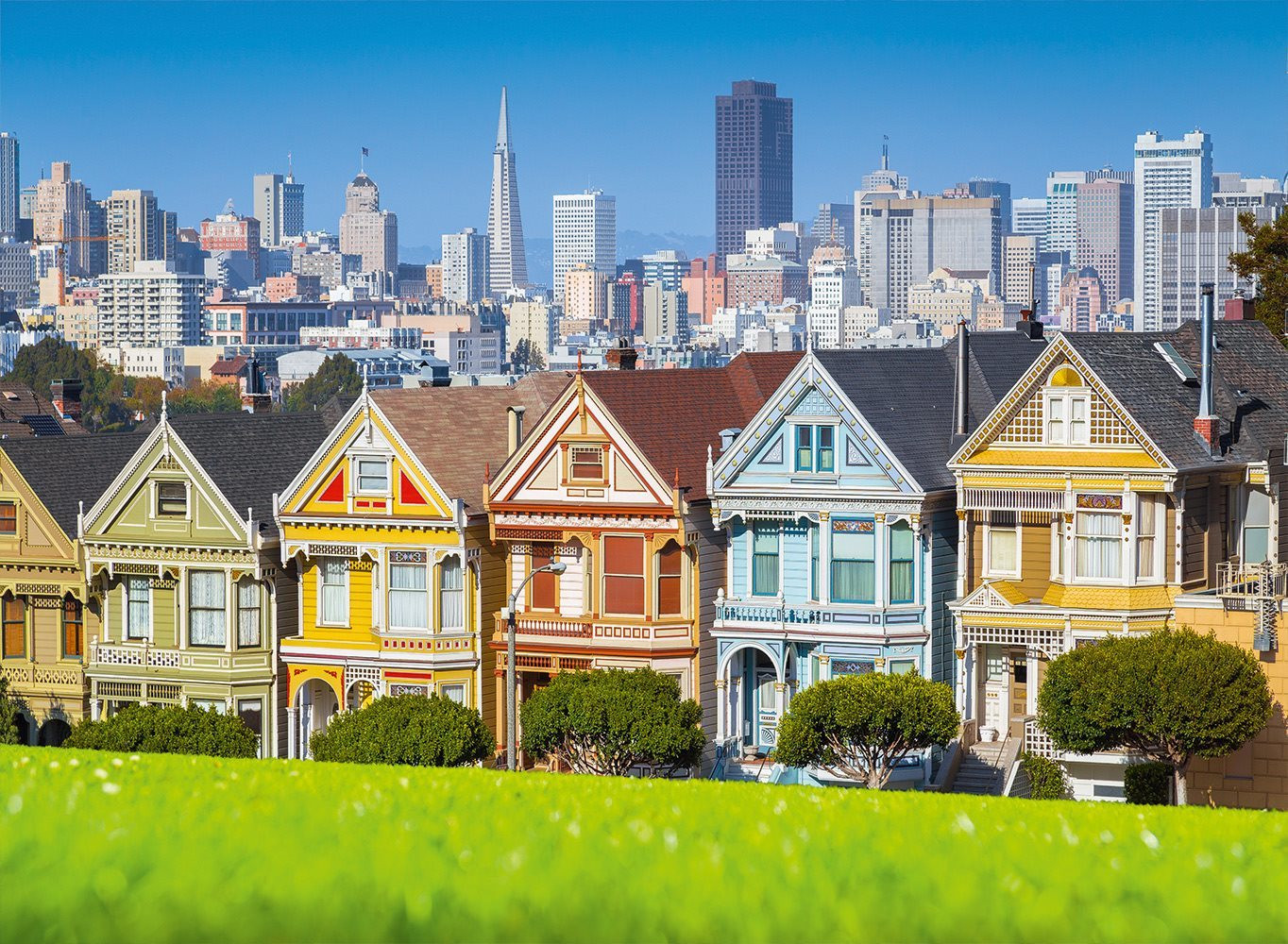 Bluebird Puzzel Painted Ladies 3000 stukjes