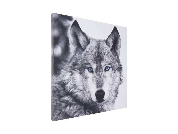 Wandbild 65x65 Wolf