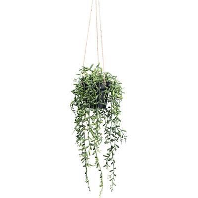 Kunstpflanze CREATIV GREEN "Hängepflanze Senecio Herreianus", grün, H:55cm, Kunstpflanzen, Kunstpflanze, mit schönen Hängezweigen