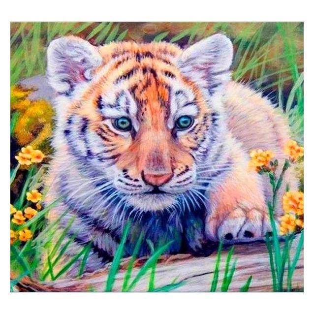 Norimpex 5D-Diamantmosaik - Tiger 40x30cm (54613506)