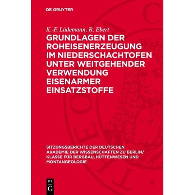 Grundlagen der Roheisenerzeugung im Niederschachtofen unter weitgehender Verwendung eisenarmer Einsatzstoffe, Gebundene Ausgabe von K.-F. Lüdemann,R.