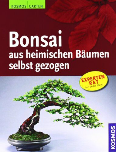 Helmut Rüger - Bonsai aus heimischen Bäumen selbst gezogen - Preis vom 09.10.2026 07:28:09 h