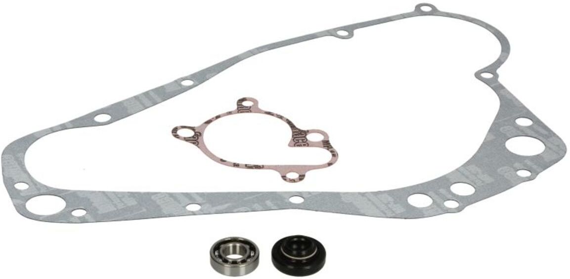 Kit de réparation, pompe à eau WINDEROSA W821579