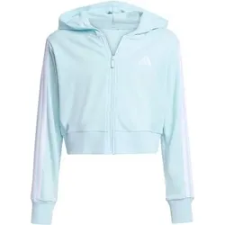 ADIDAS Kinder Kapuzensweat Essentials Kids, Größe 164 in Grün Grün