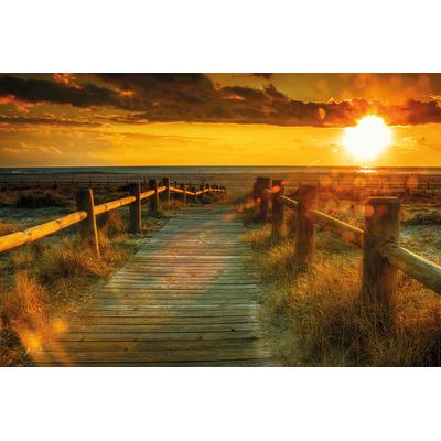 Fototapete PAPERMOON "Sunset Beach", bunt, B:5m L:2,8m, Vlies, Tapeten