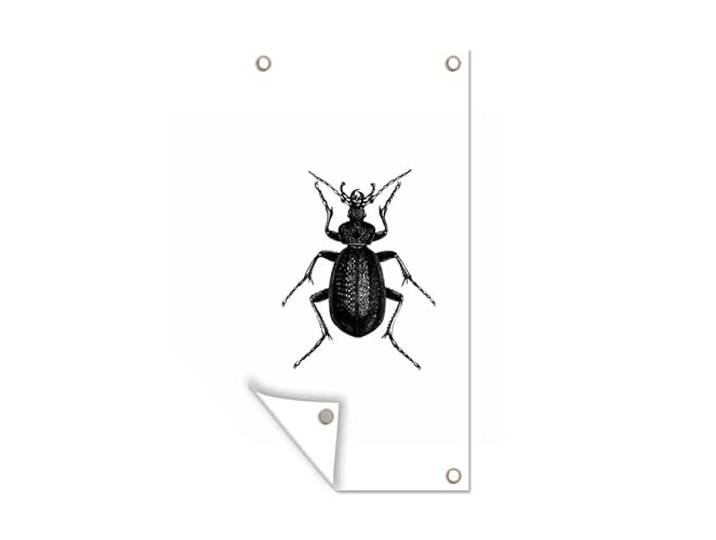 Tuinposter - 80x160 cm - Zwart wit - Kever - Vintage - Insecten