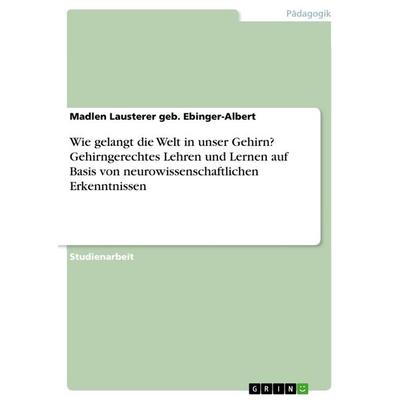 Wie gelangt die Welt in unser Gehirn? Gehirngerechtes Lehren und Lernen auf Basis von neurowissenschaftlichen Erkenntnissen, Taschenbuch von Madlen