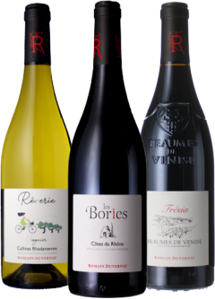 Weinpaket - Romain Duvernay - 3 Fl. - 2.25L Rhone